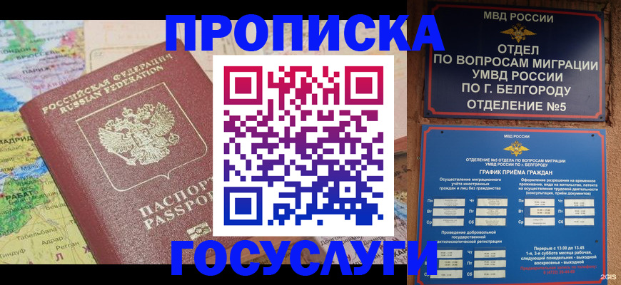 прописка регистрация в Ковдоре